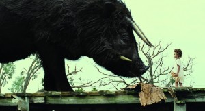Beasts of the Southern Wild DVD